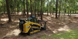 Expert Forestry Services's image